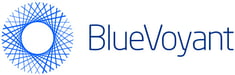 BlueVoyant