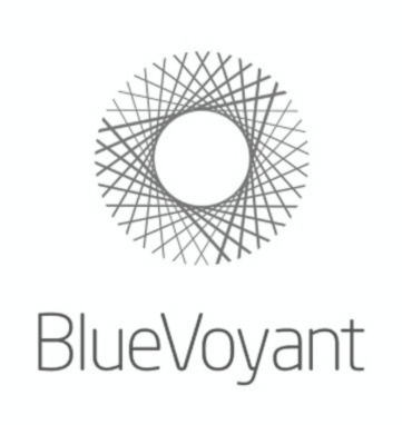 bluevoyant