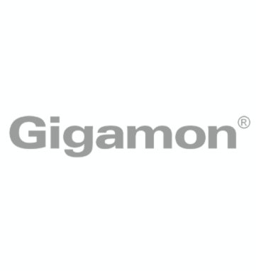 gigamon (1)