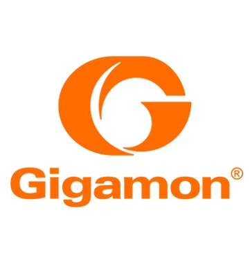 Gigamon_361x382