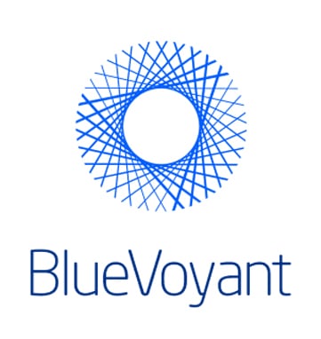 BlueVoyant_361x382-1