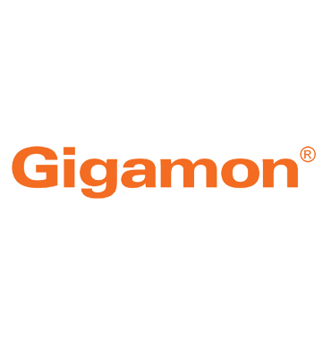 Gigamon-361x382