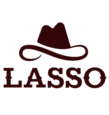 LassoSecurity-361x382